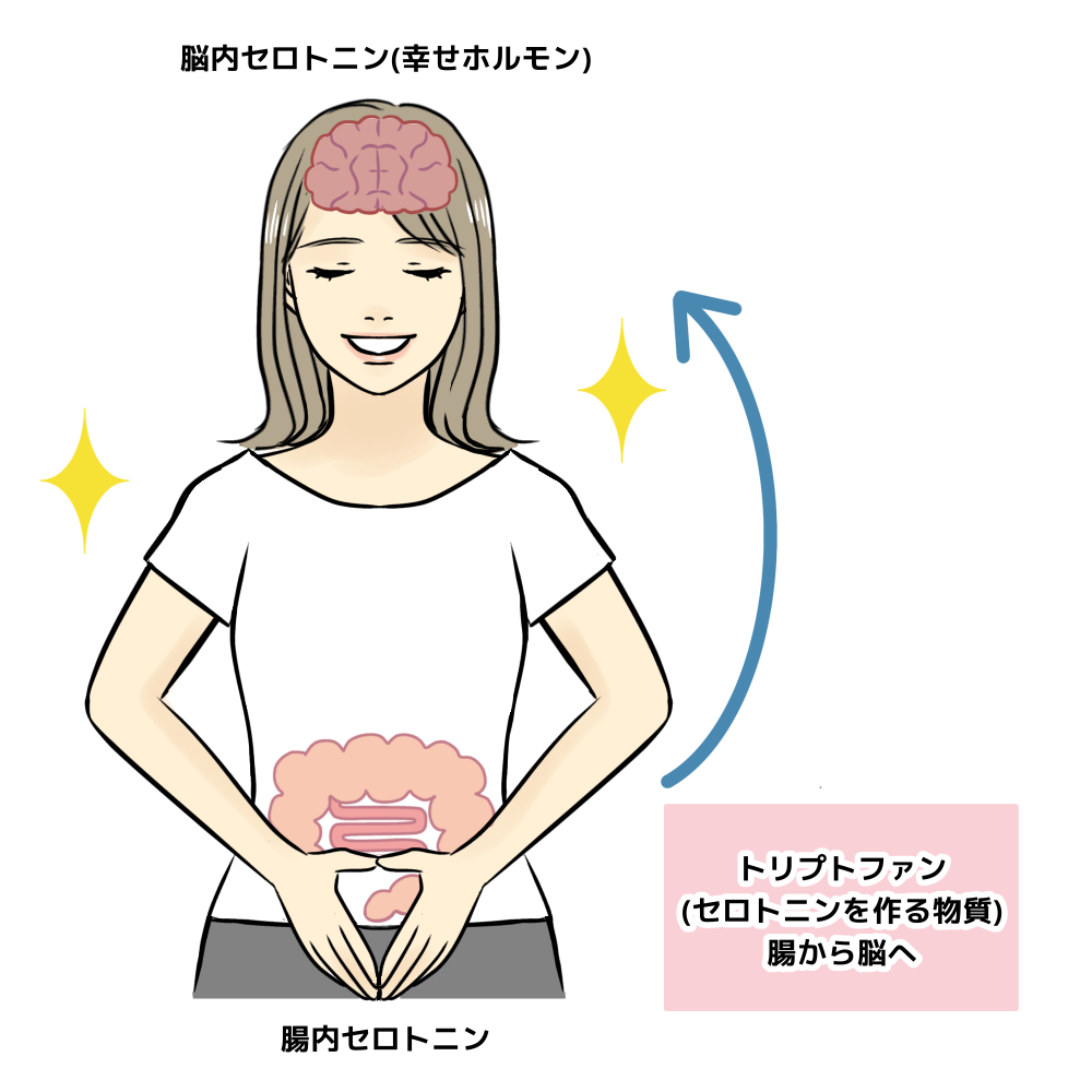 脳内セロトニン