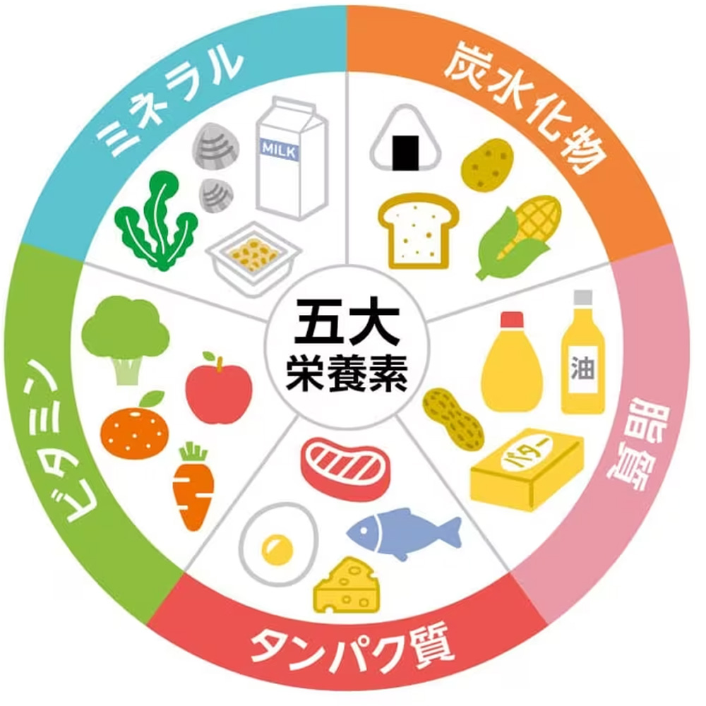 しっかり摂っておきたいものはどれ?