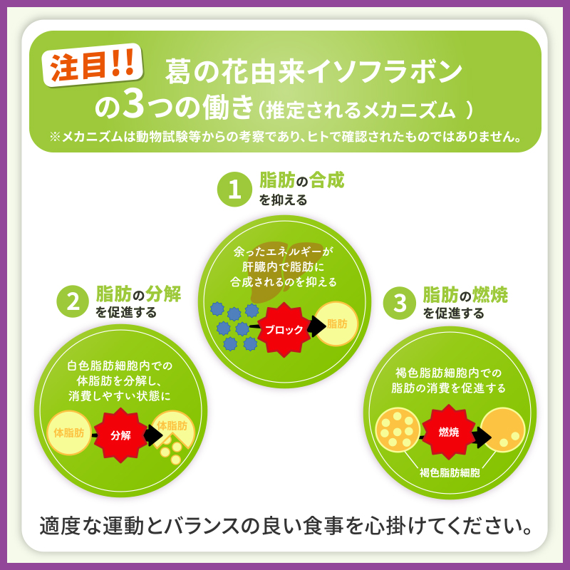 減脂生活＜葛の花＞　30日分（60粒）