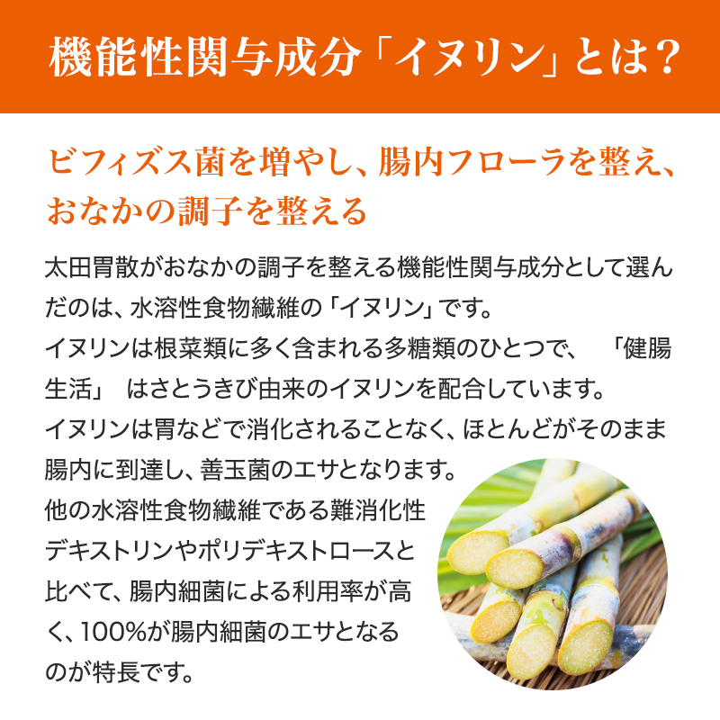 健腸生活　30日分（30袋）