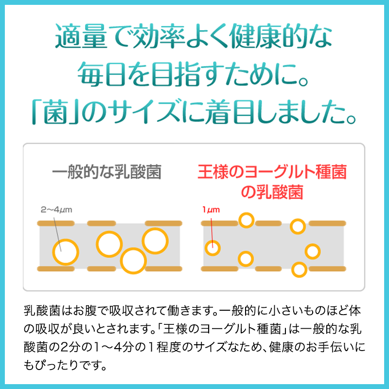 【定期】王様のヨーグルト種菌®　3gx2包