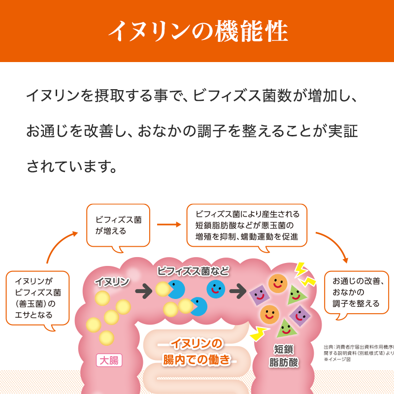 【定期】健腸生活　30日分（30袋）