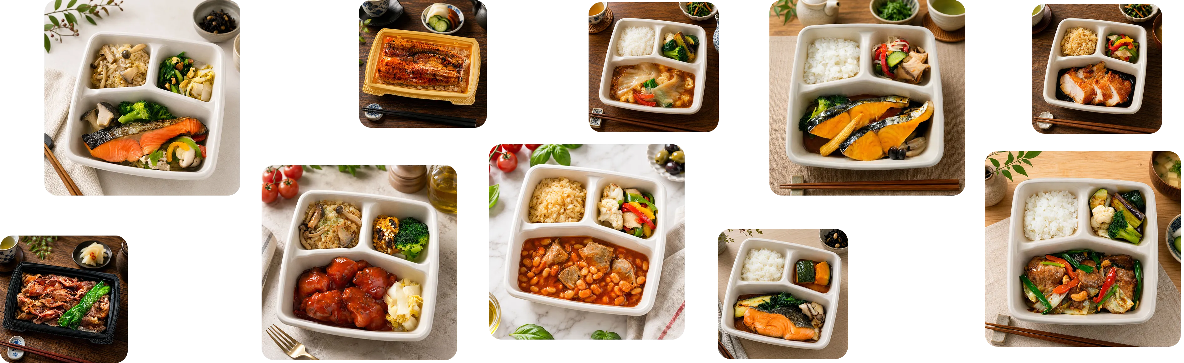 OISHI PLUS