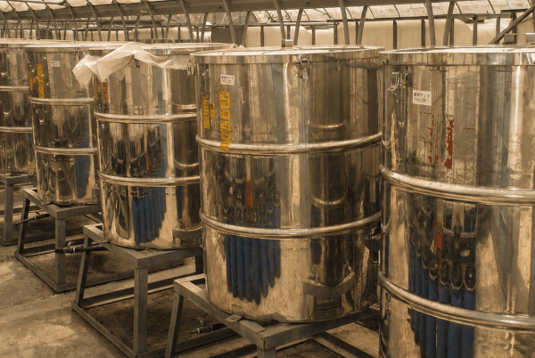 熟成・発酵の工程