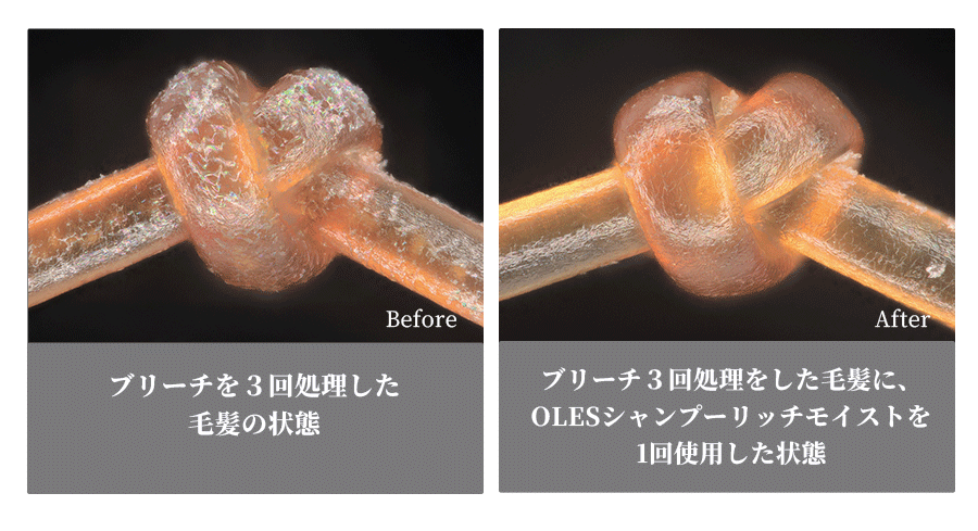 未処理毛とOLES使用後の毛髪比較
