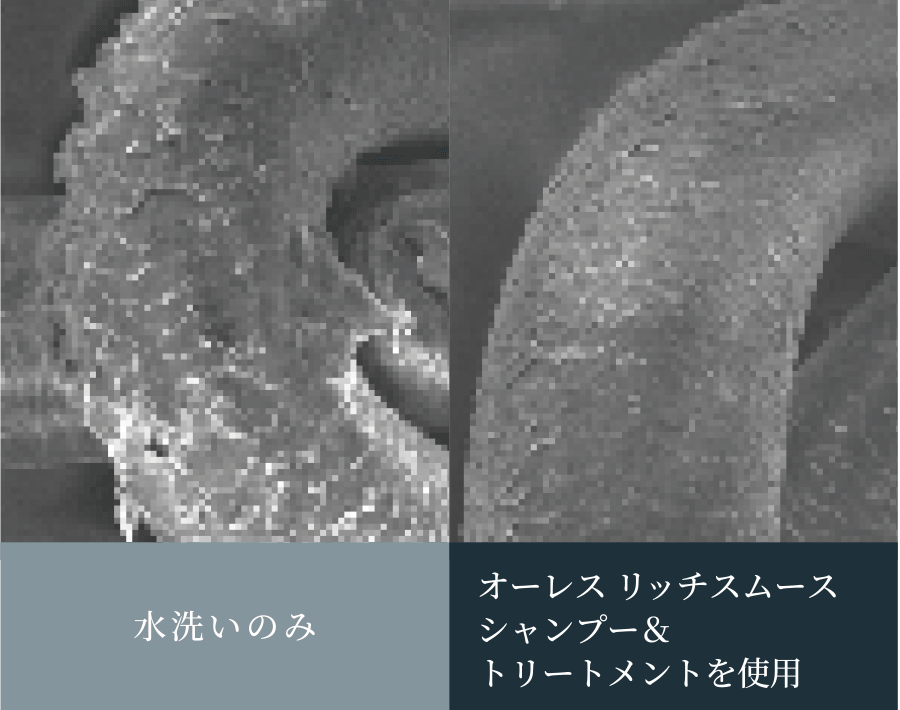 水洗いのみとOLES使用後の毛髪表面比較