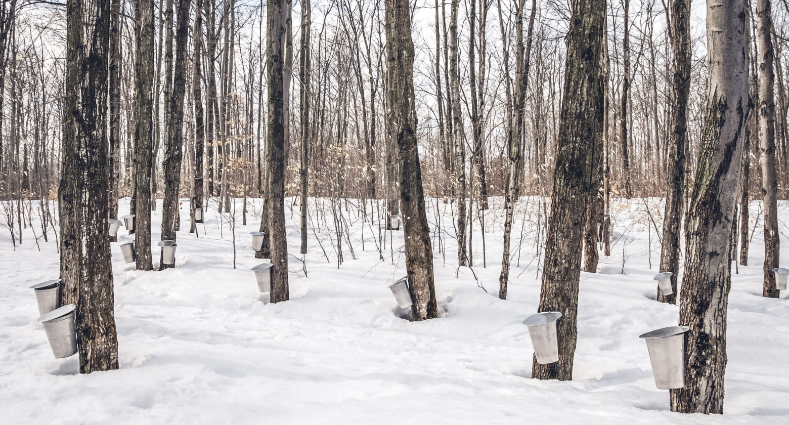 採取口の取り付け