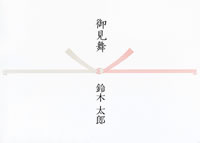 御見舞（5本結び切り・祝のし無）