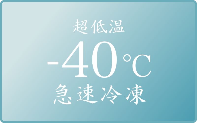 −40℃ 超低温急速冷凍