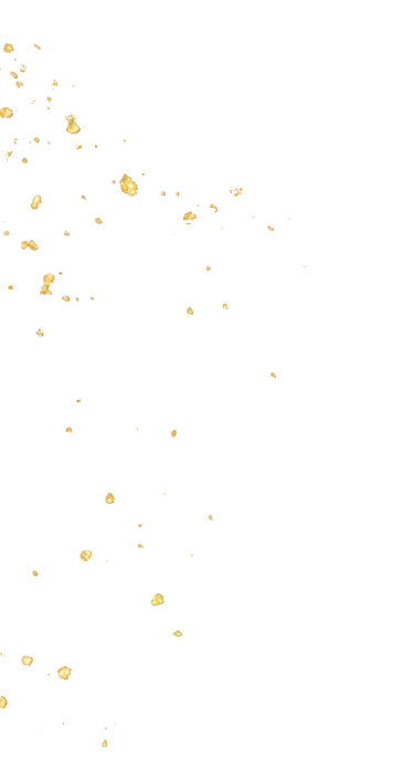 最高峰のラインナップ