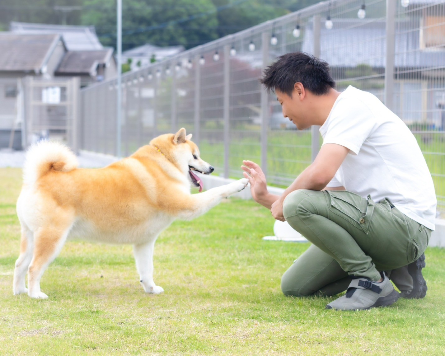 保護施設でのふれあい