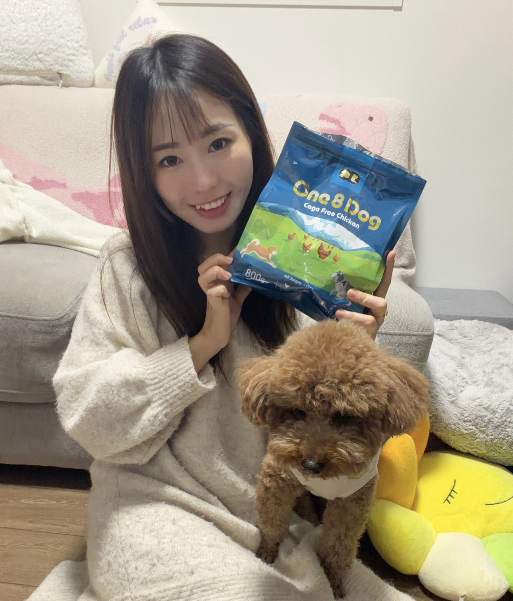 トイプードルとOne8Dog