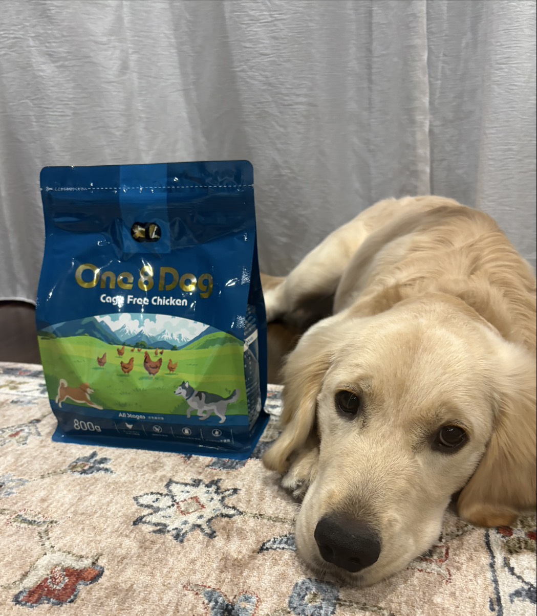 ゴールデンレトリバーとOne8Dog