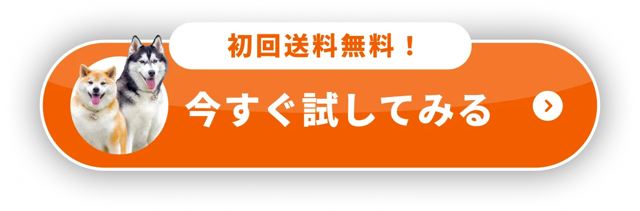 初回送料無料！今すぐ試してみる