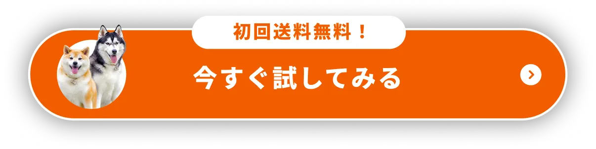 初回送料無料！今すぐ試してみる