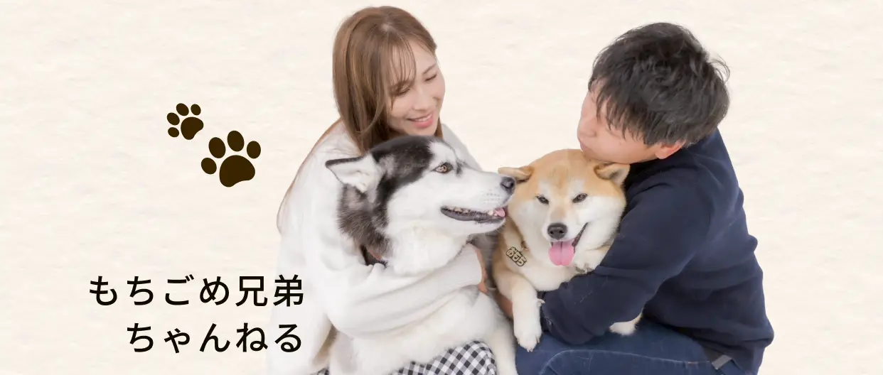 もちごめ兄弟ちゃんねるの飼い主夫婦とハスキー犬・秋田犬