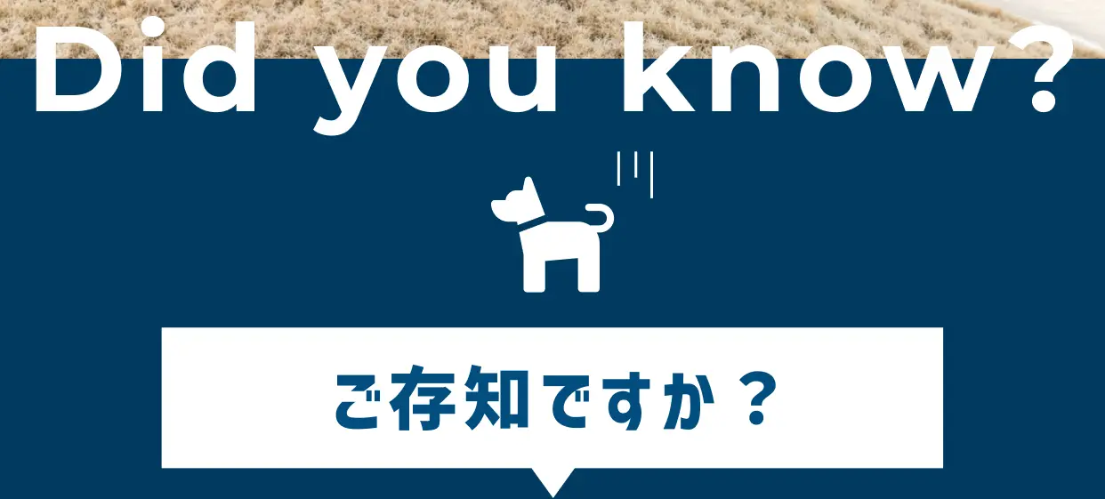 Did you know ? ご存知ですか ?