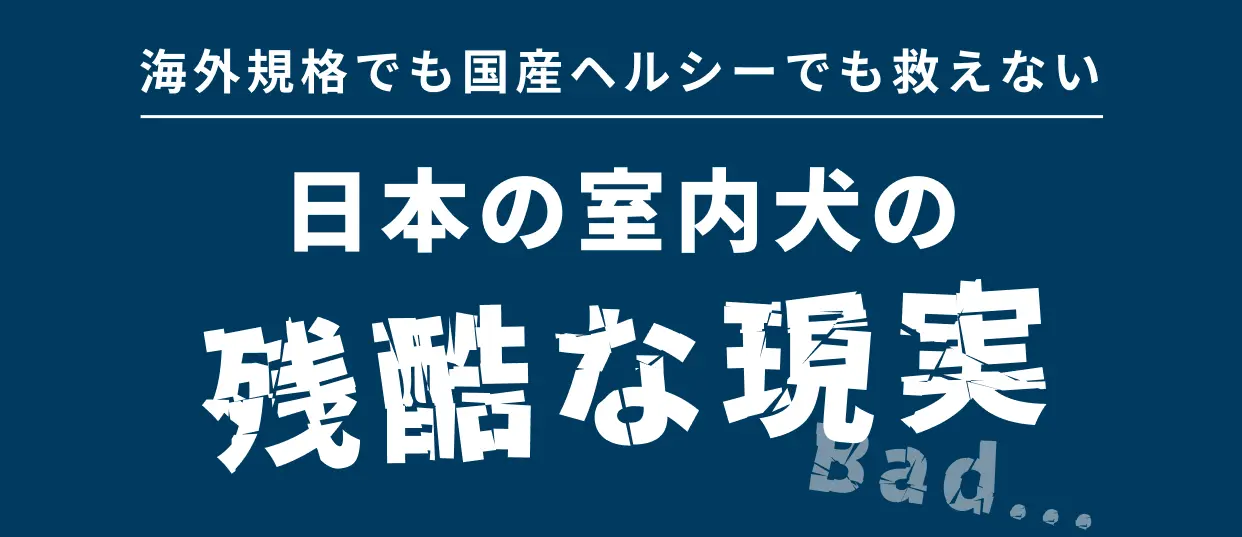 海外規格でも国産ヘルシーでも救えない 日本の室内犬の浅い歩きは現実 bad...