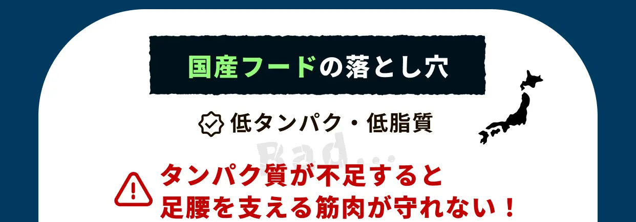 国産フードの落とし穴 低タンパク・低脂質 ⚠タンパク質が不足すると足腰を支える筋肉が守れない !