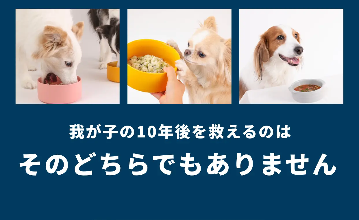 我が子の10年後を救えるのはそのどちらでもありません