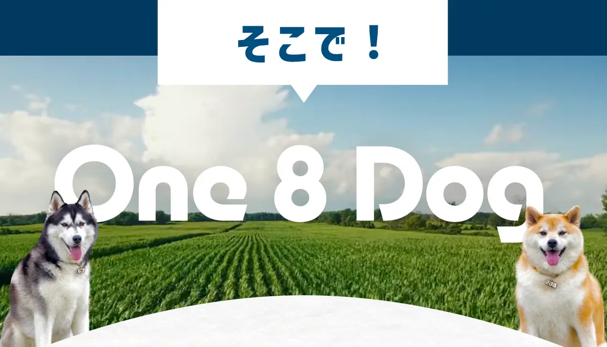 そこで ! One 8 Dog