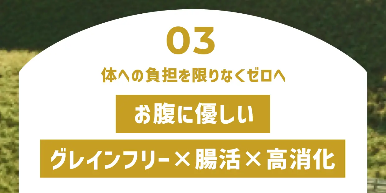 ニュージーランドの厳しい海で育った緑具は、軟骨を作る成分だけでなく、炎症を抑える希少成分「ETA」を蓄えています。