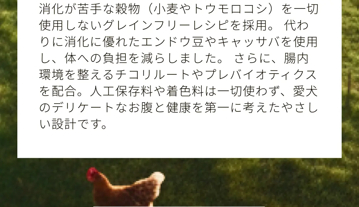 消化に優れたエンドウ豆やキャッサバを使用 チコリルートやプレバイオティクスを配合