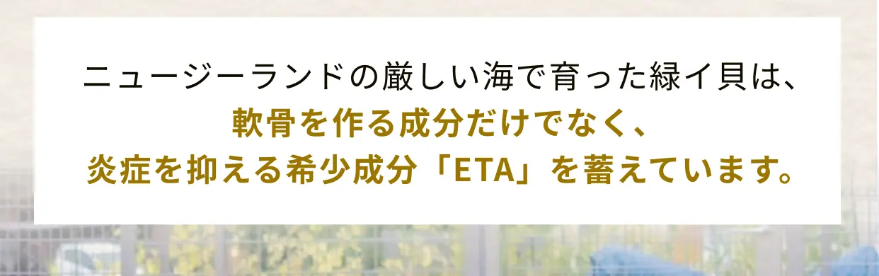 消化が苦手な穀物（小麦やトウモロコシ）を一切使用しないグレインフリーレシピを採用。代わりに消化に優れたエンドウ豆やキャッサバを使用し、体への負担を減らしました。さらに、腸内環境を整えるチコリルート（プレバイオティクス）を配合。人工保存料や着色料は一切使わず、愛犬のデリケートなお腹と健康を第一に考えたやさしい設計です。