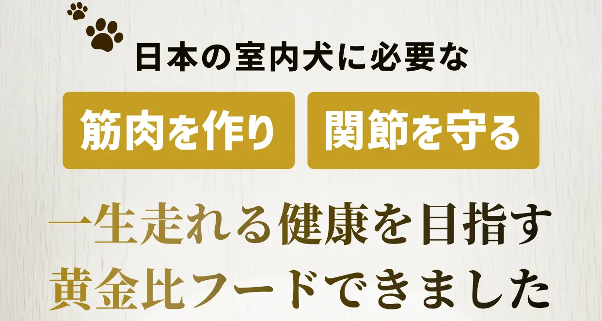 日本の室内犬に必要な筋肉を作り関節を守る 一生走れる健康を目指す黄金比フードできました