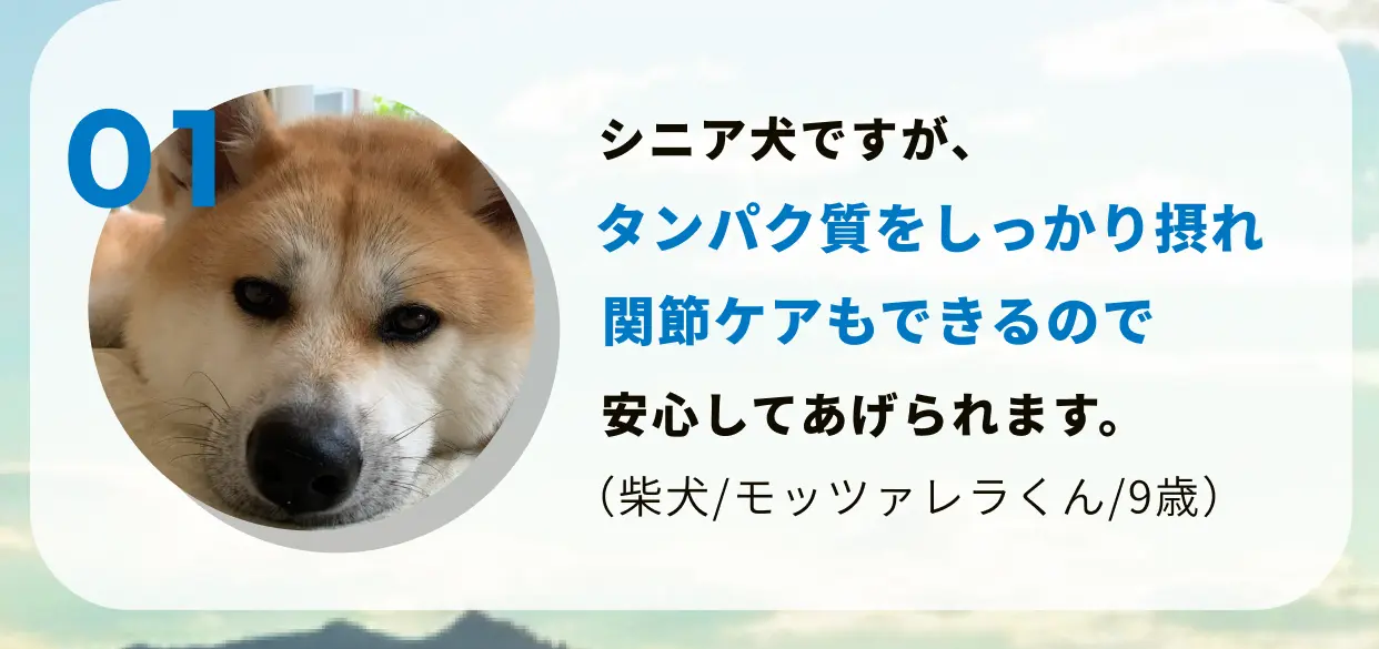 01 シニア犬ですが、タンパク質をしっかり摂れ関節ケアもできるので安心してあげられます。(柴犬/モッツァレラくん/9歳)