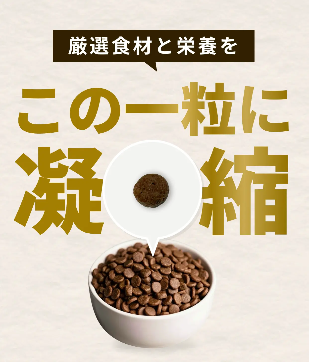 厳選食材と栄養をこのー粒に凝縮と葉香