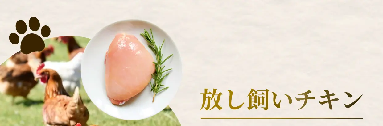 放し飼いチキン