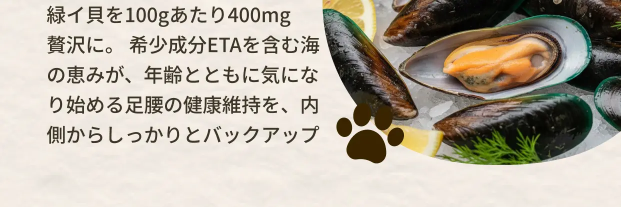 緑イ貝を100gあたり400mg贅沢に。希少成分ETAを含む海の恵みが、年齢とともに気になり始める足腰の健康維持を、内側からしっかりとバックアップ