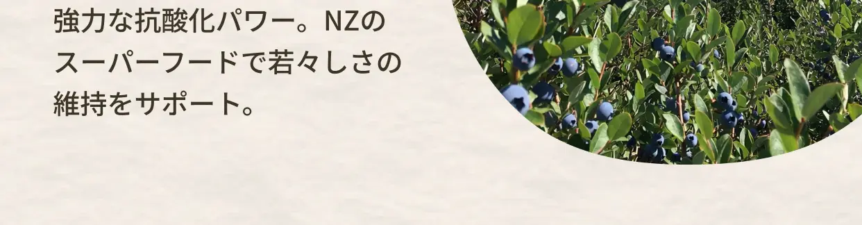 強力な抗酸化パワー。NZのスーパーフードで若々しさの維持をサポート。