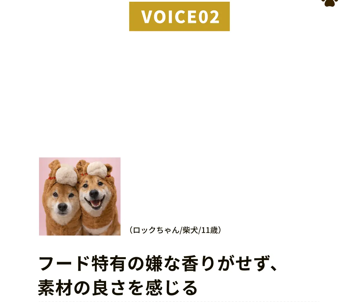 VOICE02 ロックちゃん（柴犬/11歳）