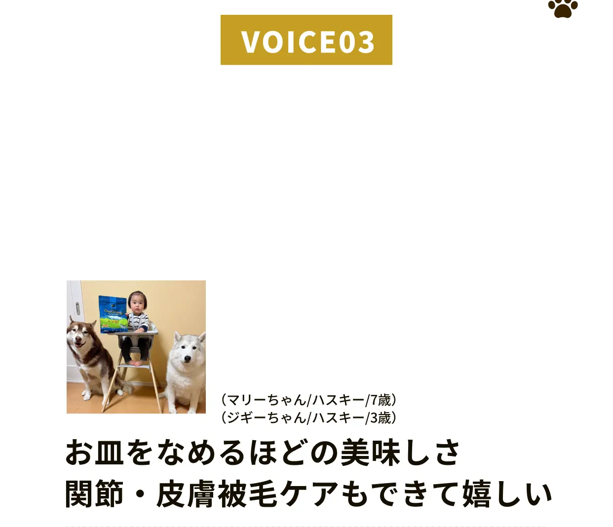 VOICE03 マリーちゃん（ハスキー/7歳）とジギーちゃん（ハスキー/3歳）