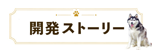 開発ストーリー