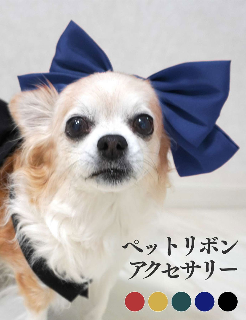 リボン ペットアクセサリー 【メール便可】 [M便 3/6]