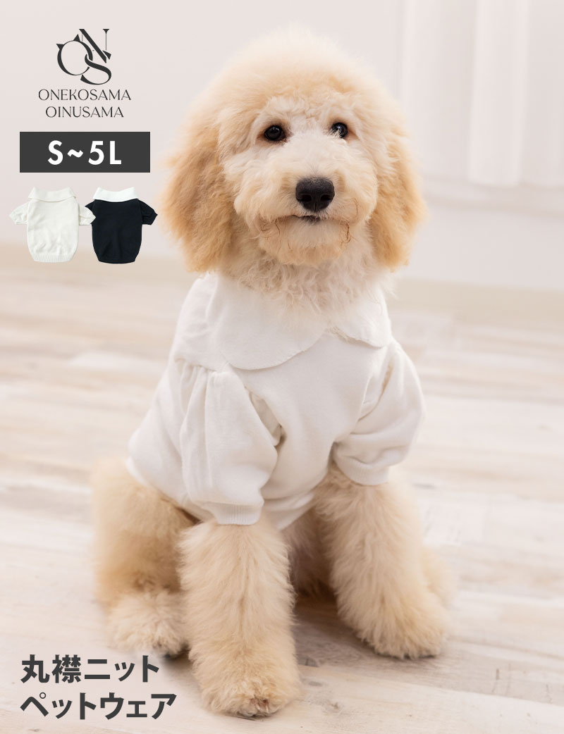 【50％OFF】ペット丸襟ニット