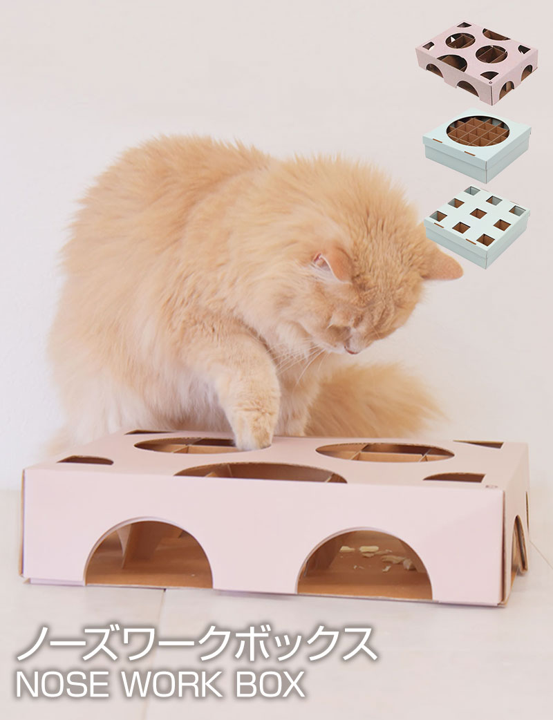 ノーズワークボックス