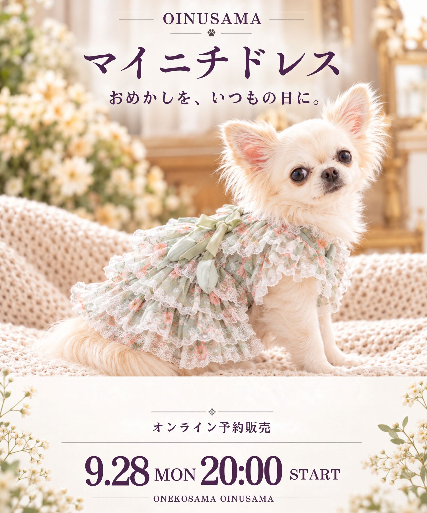 【新作】総柄フリルドレス マイニチドレス  EVERYDAY DRESS【ハロウィン限定セット】