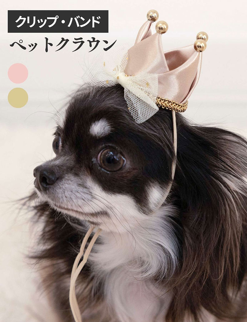 【ハロウィン】ペットクラウン 犬 猫 王冠アクセサリー