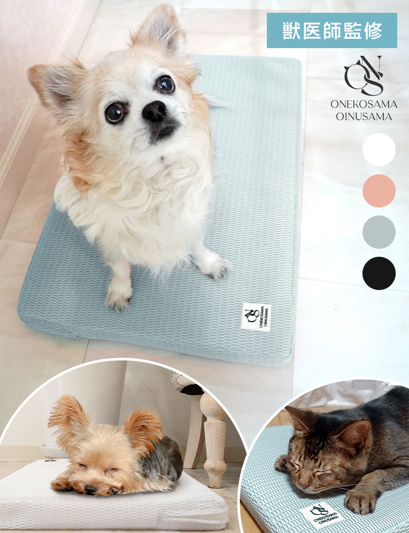 【フェア価格】【暑さ対策】メッシュベッド エアリーウォッシュ ペットベッド マット[ヤマト大型配送]