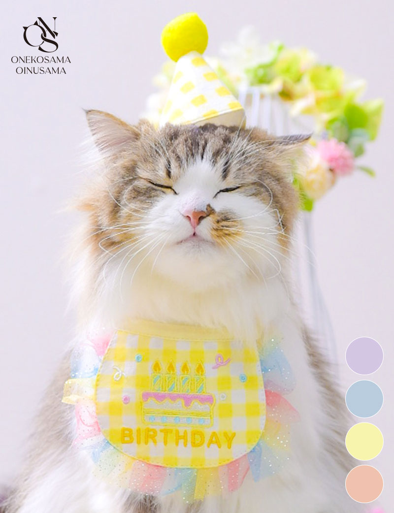 【2026新春価格】バースデースタイ＆帽子セット 【メール便可】 [M便 2/6]