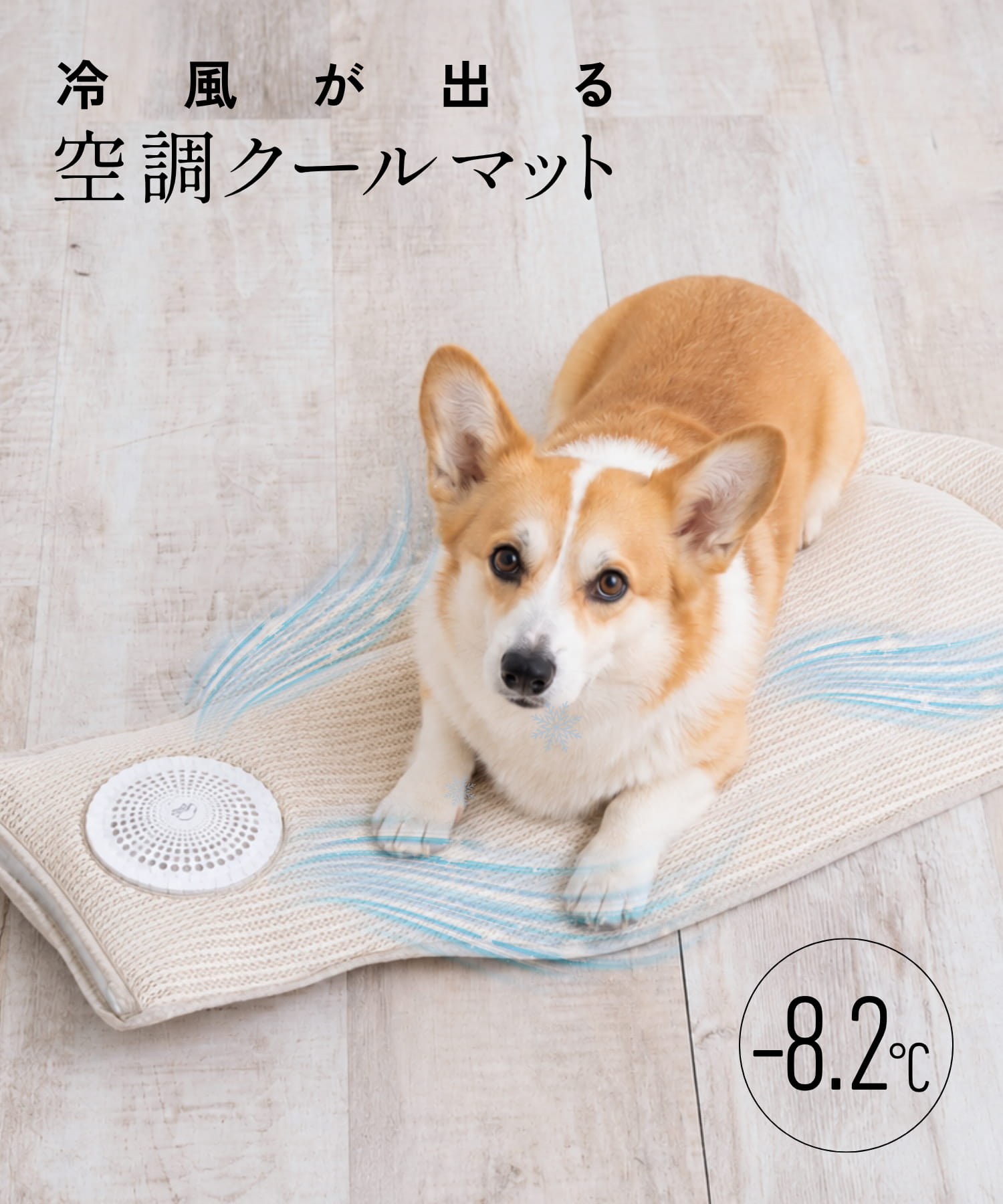 ＼2000円OFFクーポン／ 空調クールマット 敷くだけエアコン 大型保冷ジェル4個付き