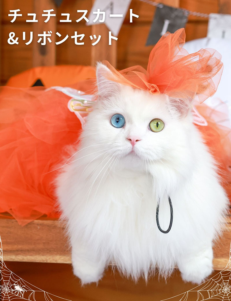 【ハロウィン60％OFF】ペットチュチュ＆リボンセット