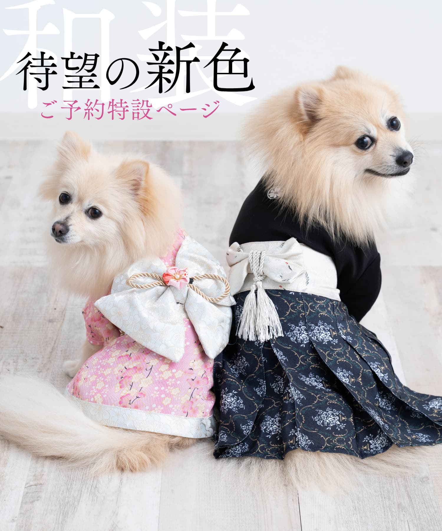 【先行ご予約】ペット着物・袴 新色