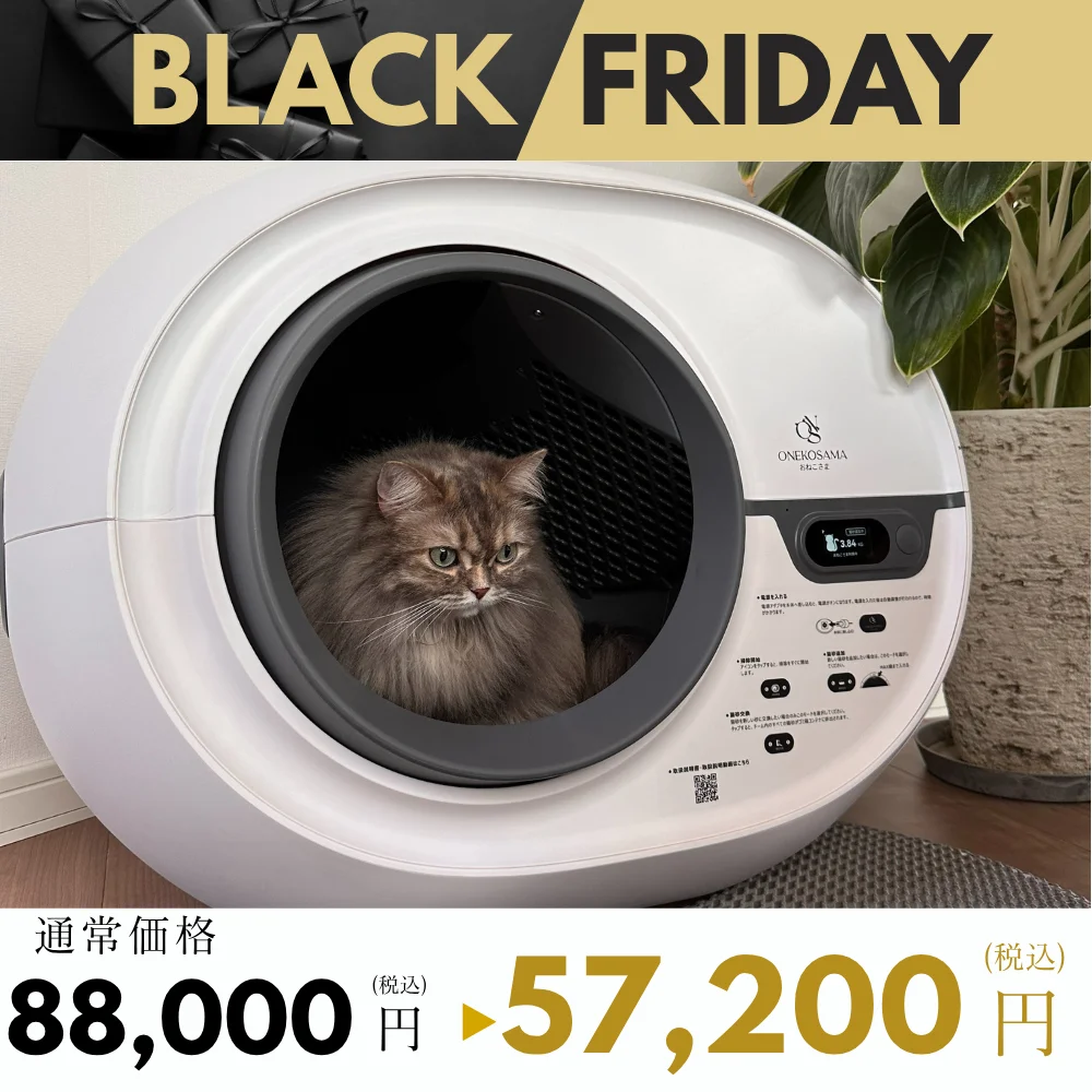 BLACK FRIDAY | ONEKOSAMA OINUSAMA