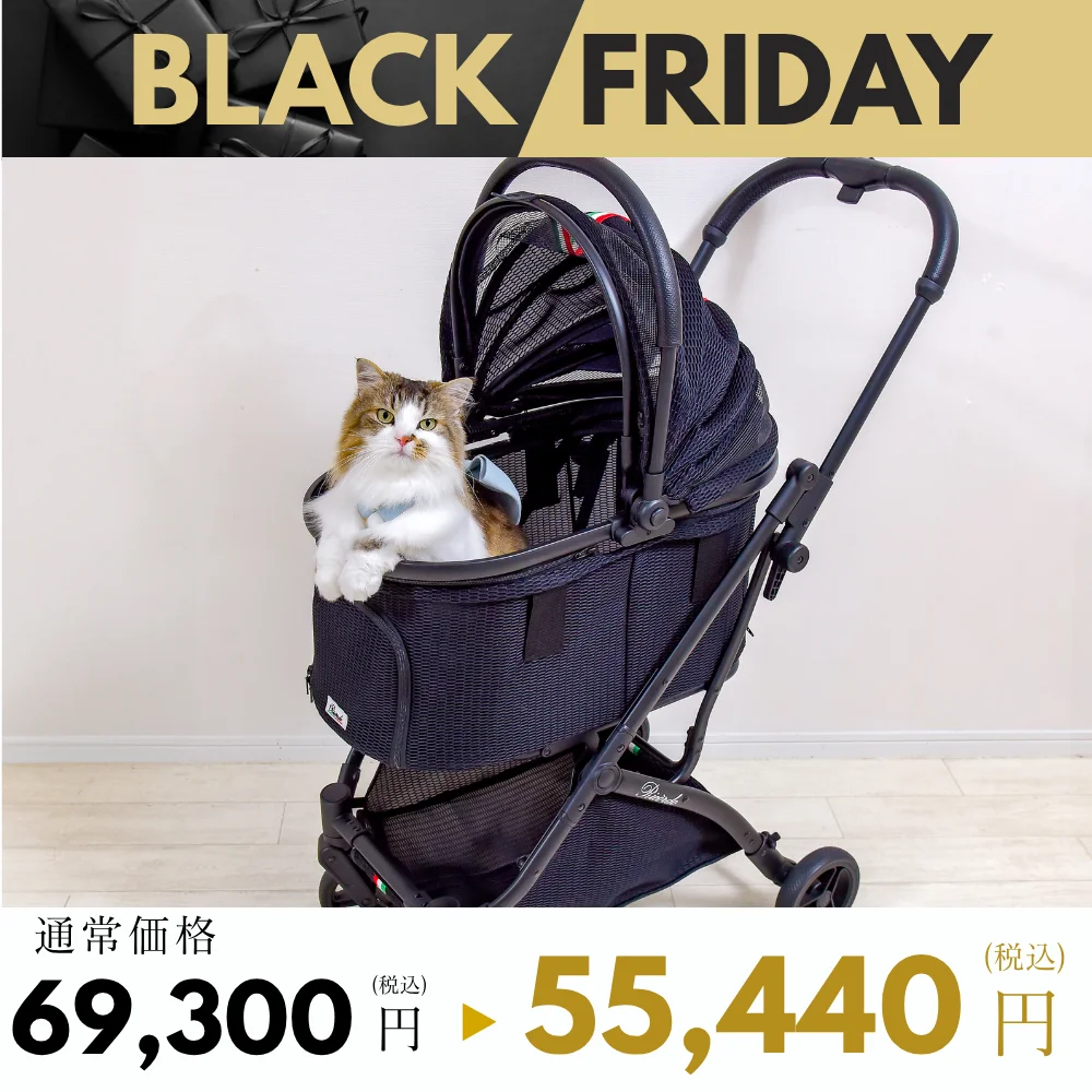 BLACK FRIDAY | ONEKOSAMA OINUSAMA