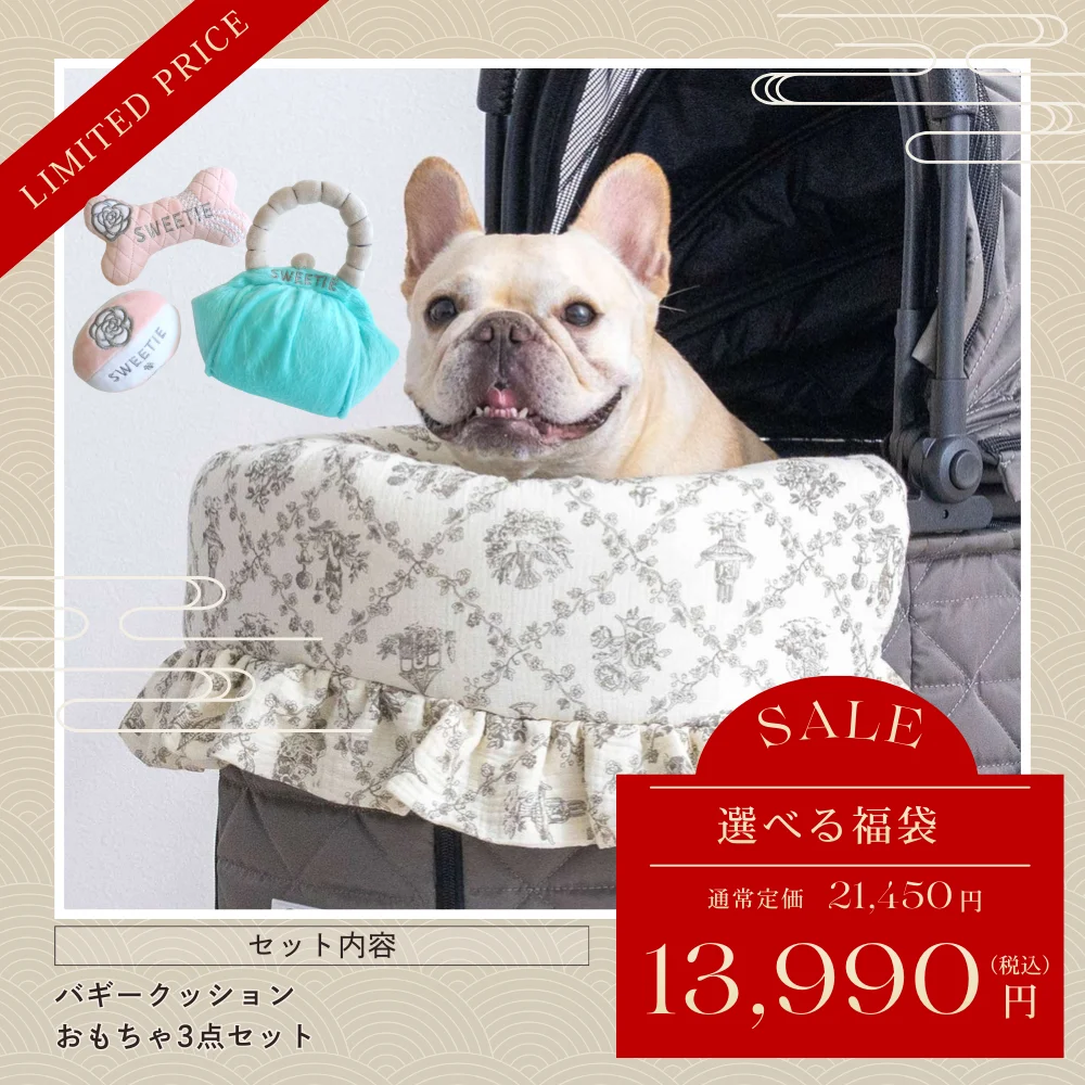 【福袋】カートクッション+おもちゃセット